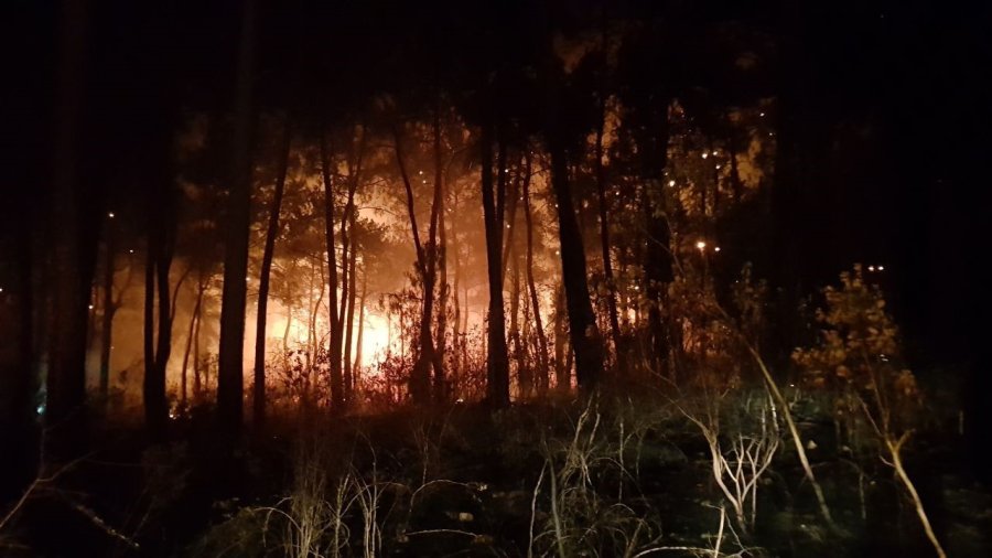 Antalya’da Orman Yangını