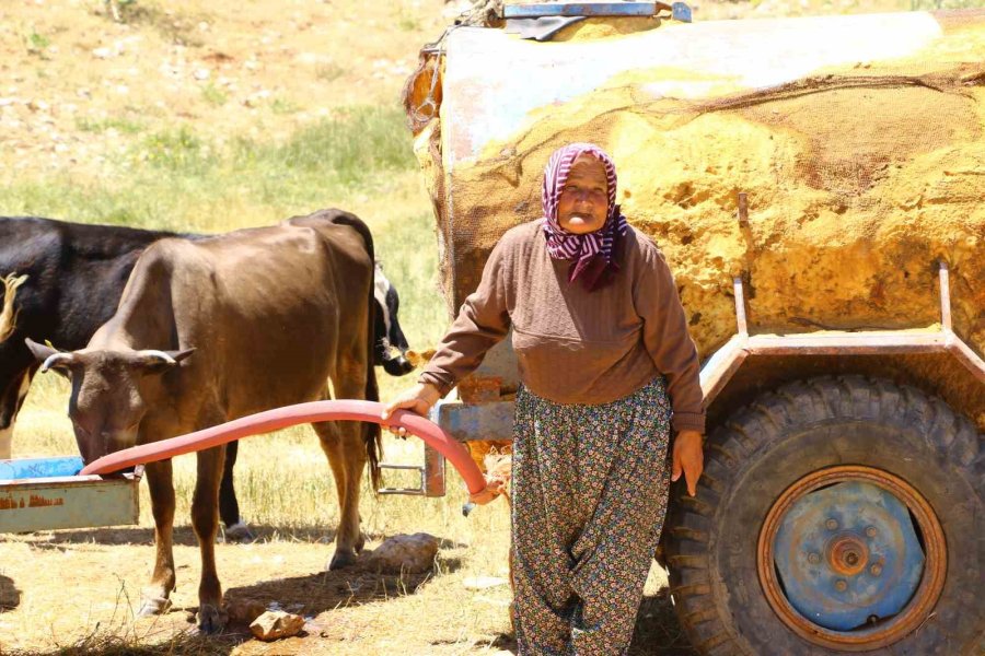 Antalya’nın “çoban Haritası” Çıkartılıyor