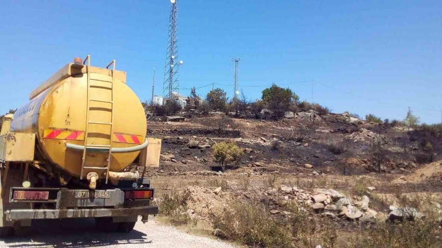 Alanya’da Avokado Bahçesinde Çıkan Yangında 9 Dönüm Alan Zarar Gördü