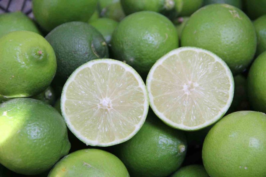 Türkiye’nin İlk ’lime’ Cinsi Limon Hasadı Silifke’de Yapıldı