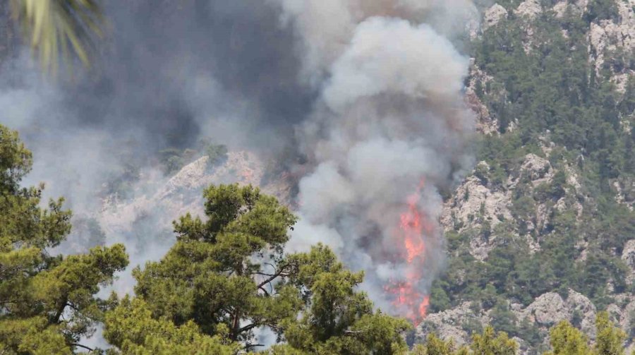 Kemer’de Orman Yangınına Havadan Yoğun Müdahale