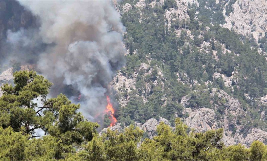 Kemer’de Orman Yangınına Havadan Yoğun Müdahale