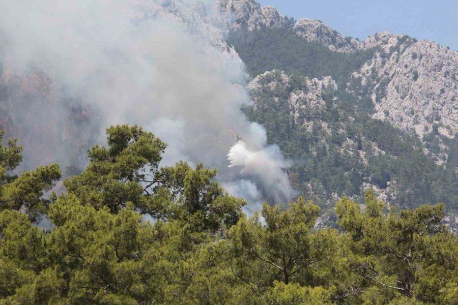 Kemer’de Orman Yangınına Havadan Yoğun Müdahale