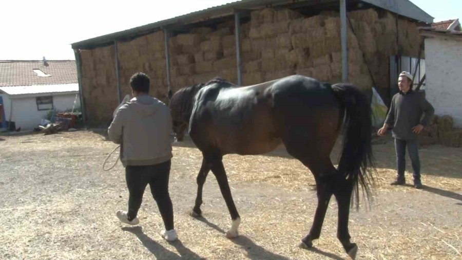 Osmanlı’nın Gözde Taylarının Yetiştiği Mahmudiye Eski Günlerini Arıyor