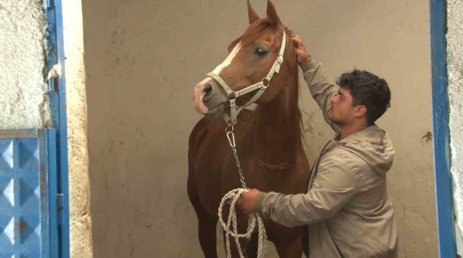 Osmanlı’nın Gözde Taylarının Yetiştiği Mahmudiye Eski Günlerini Arıyor