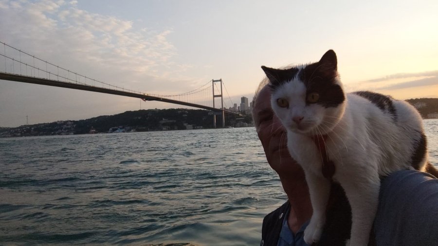 Omzundaki Kedisi İle İstanbul’u Karış Karış Gezdi