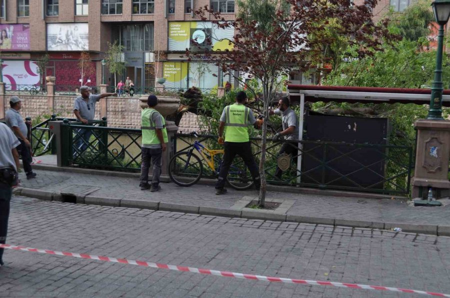 Eskişehir’de Facianın Eşiğinden Dönüldü: Ağaç Devrildi, 3’ü Çocuk 11 Kişi Altında Kaldı