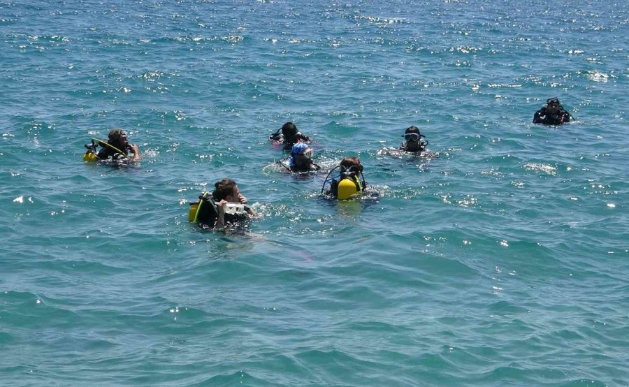 Doğu Akdeniz’i Göçmen Çayırı Sarmaya Başladı