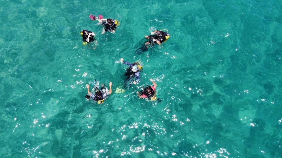 Doğu Akdeniz’i Göçmen Çayırı Sarmaya Başladı