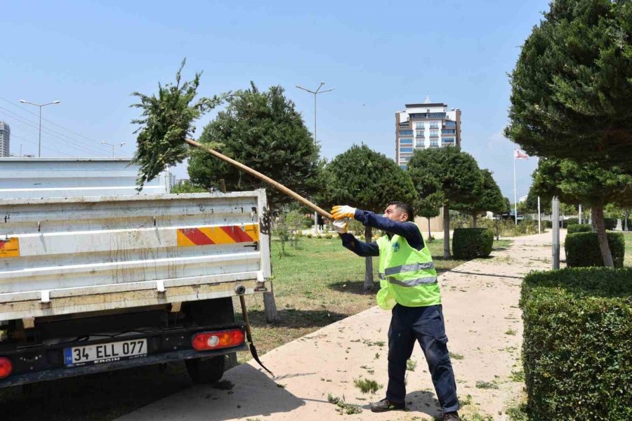 Toroslar’da Park Ve Yeşil Alanların Bakımı Özenle Yapılıyor