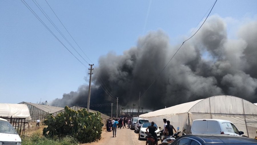 Antalya’da Çiçek İşleme Tesisinde Yangın