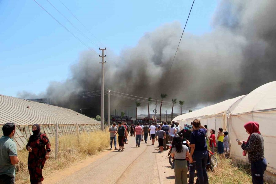 Antalya’da Kesme Çiçek İşleme Tesisi Alev Alev Yandı