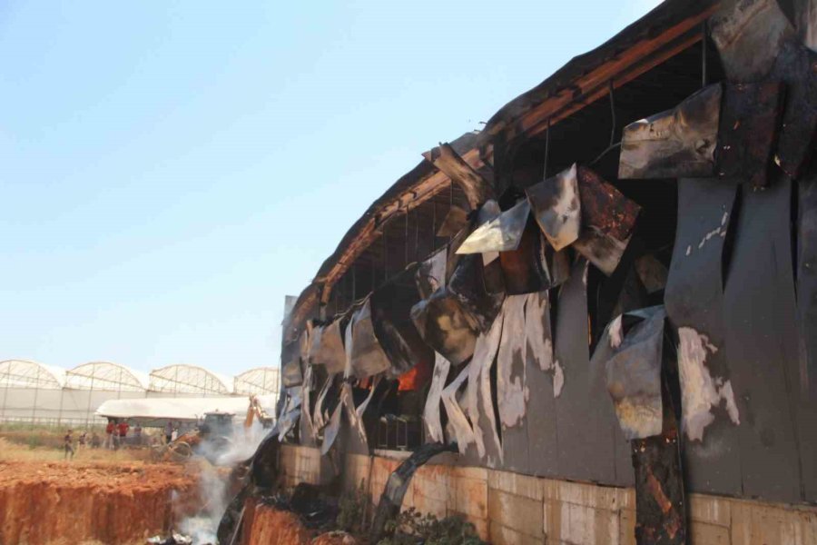 Antalya’da Kesme Çiçek İşleme Tesisi Alev Alev Yandı