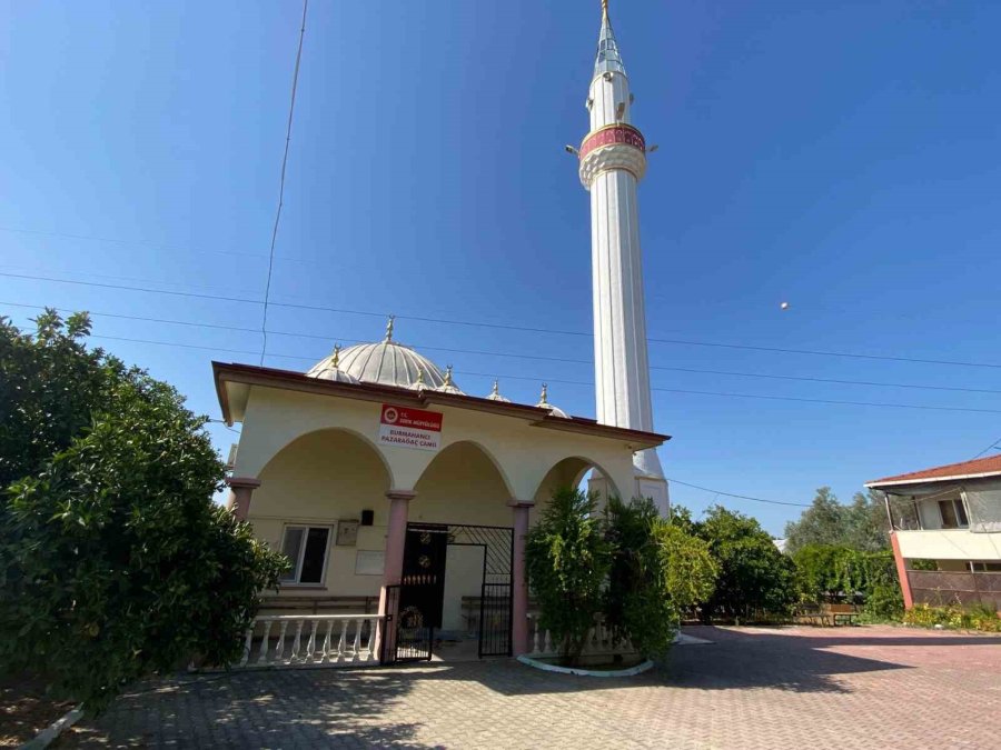 Antalya’ya Her Yıl Cami Kubbesine Yuva Yapan Leylek Bacakları Kırılmış Vaziyette Bulundu