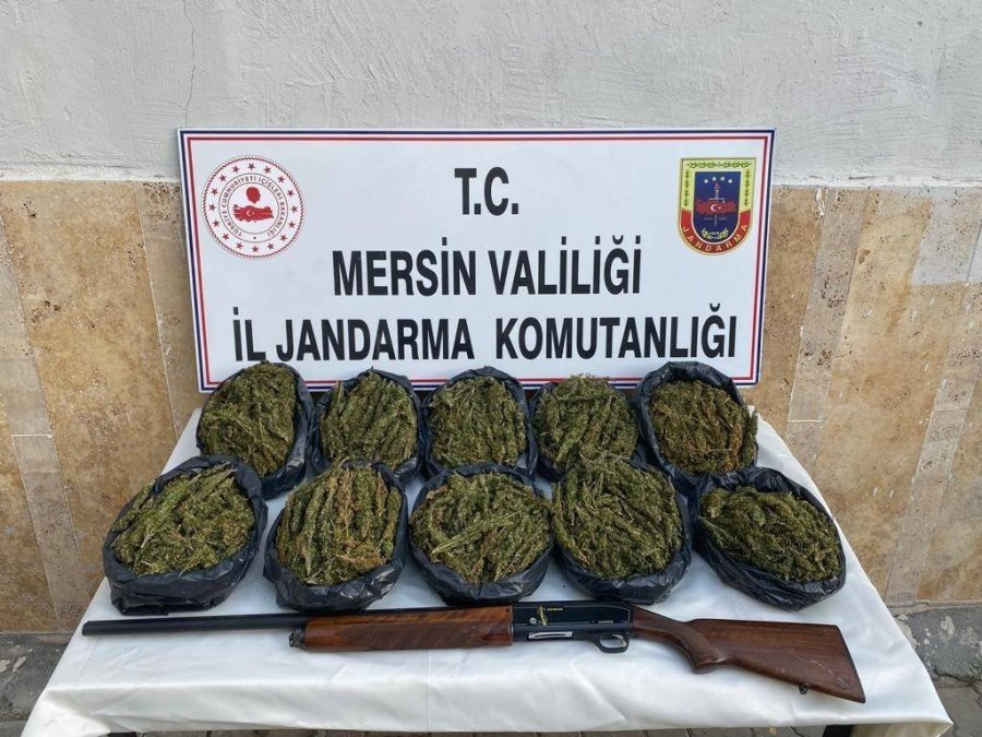 Mersin’de Operasyon: 24 Kilo Skunk Ele Geçirildi