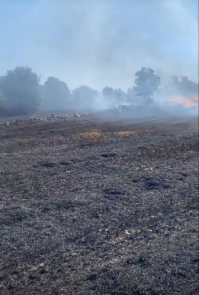 Eskişehir’de 60 Dönüm Tarım Arazisi Yangında Zarar Gördü