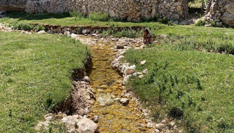 Bahar Havası Yaşanan Yaylada Yüzlerce Kelebek Görsel Şölen Sundu