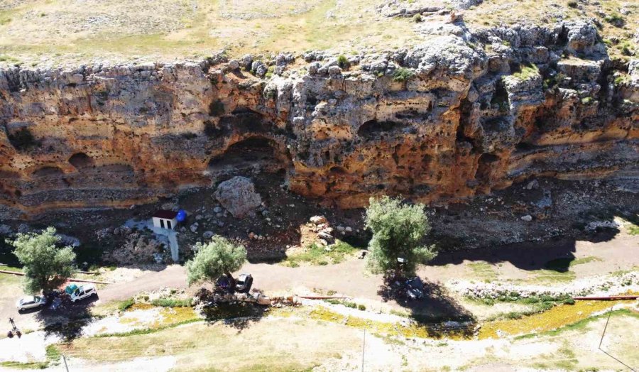 Bahar Havası Yaşanan Yaylada Yüzlerce Kelebek Görsel Şölen Sundu