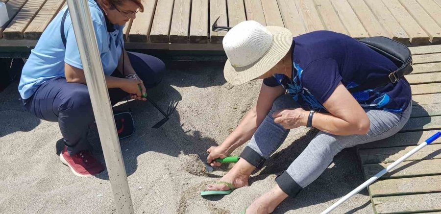 Alanya’da Yuvadan Çıkamayan Caretta Carettalar İçin Seferberlik