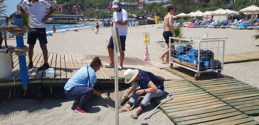 Alanya’da Yuvadan Çıkamayan Caretta Carettalar İçin Seferberlik