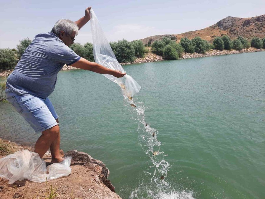 Korkuteli Göletlerine 83 Bin Adet Sazan Yavrusu Bırakıldı