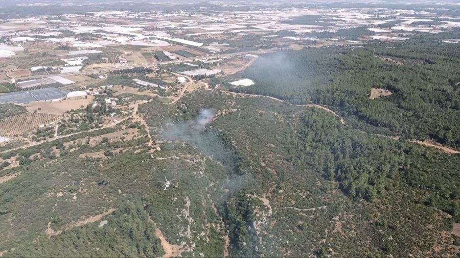 Antalya’daki Orman Yangını 2 Saatte Kontrol Altına Alındı, 3 Hektar Zarar Gördü