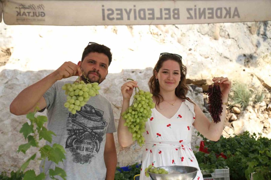 Mersin’de Üzüm Şenliği Coşkusu