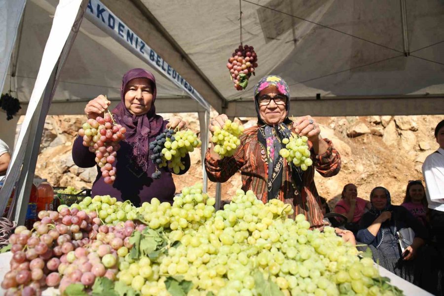 Mersin’de Üzüm Şenliği Coşkusu