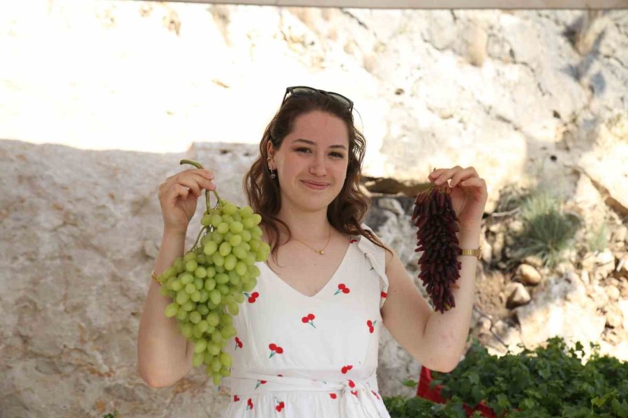 Mersin’de Üzüm Şenliği Coşkusu