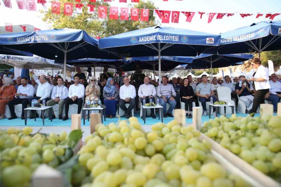 Mersin’de Üzüm Şenliği Coşkusu