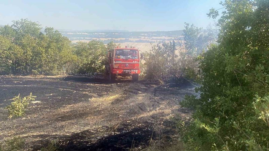 Tarladan Ormana Sıçrayan Yangında Hayvanlar Da Zarar Gördü