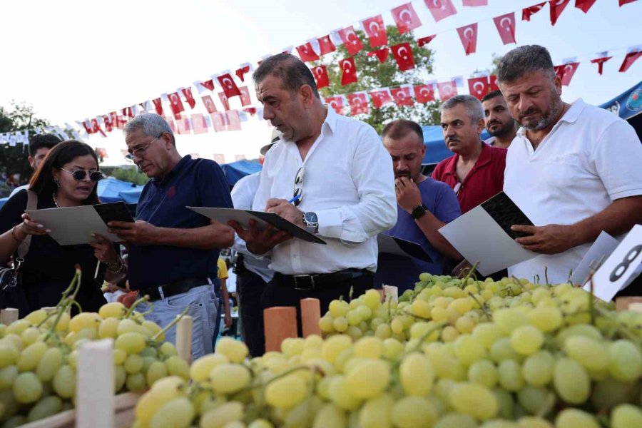 Şenlik, Üzüm Satışlarını Artırdı