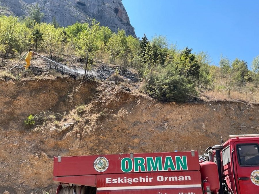 Mihalgazi’de Evde Başlayıp Ormana Sıçrayan Yangın Söndürüldü