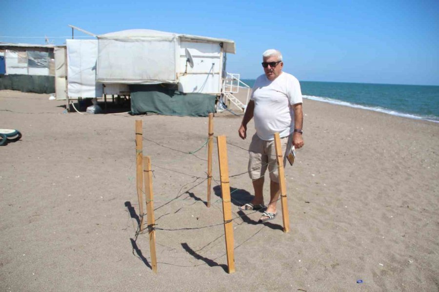 5 Yıldızlı Otellere Komşu Çardaklarda Caretta Caretta Yuvalarını Koruyarak Tatil Yapıyorlar