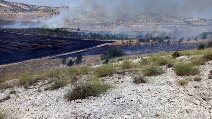 Eskişehir’de 3 Farklı Noktada Orman Yangını Çıktı