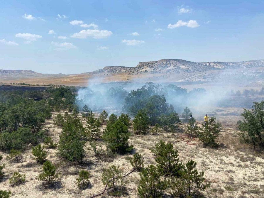 Eskişehir’de 3 Farklı Noktada Orman Yangını Çıktı