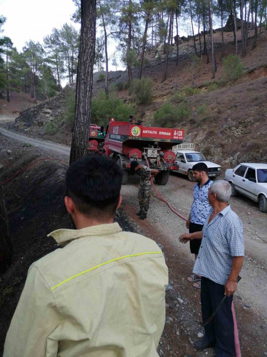 Antalya’da Orman Yangını Büyümeden Söndürüldü