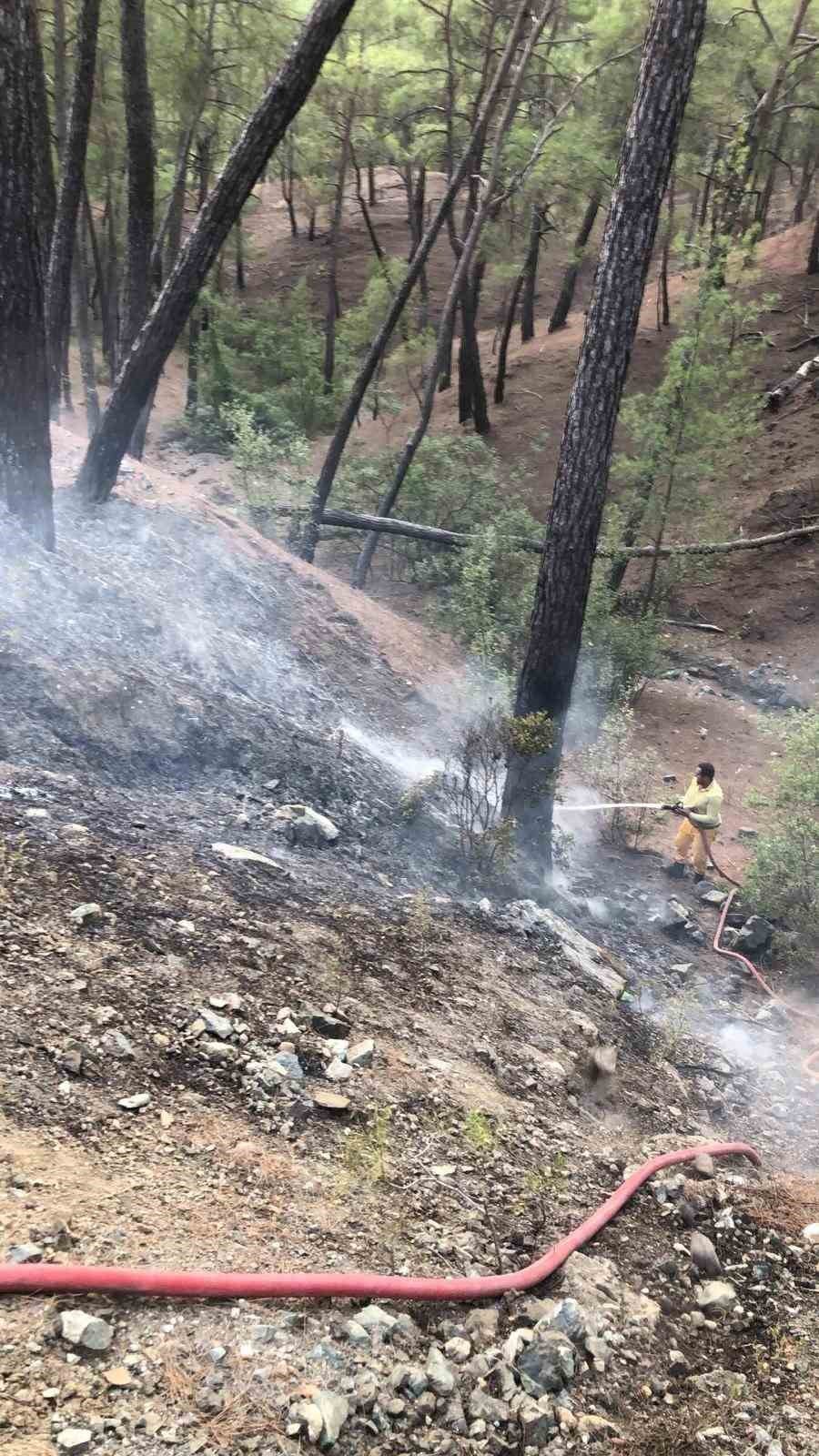 Antalya’da Orman Yangını Büyümeden Söndürüldü