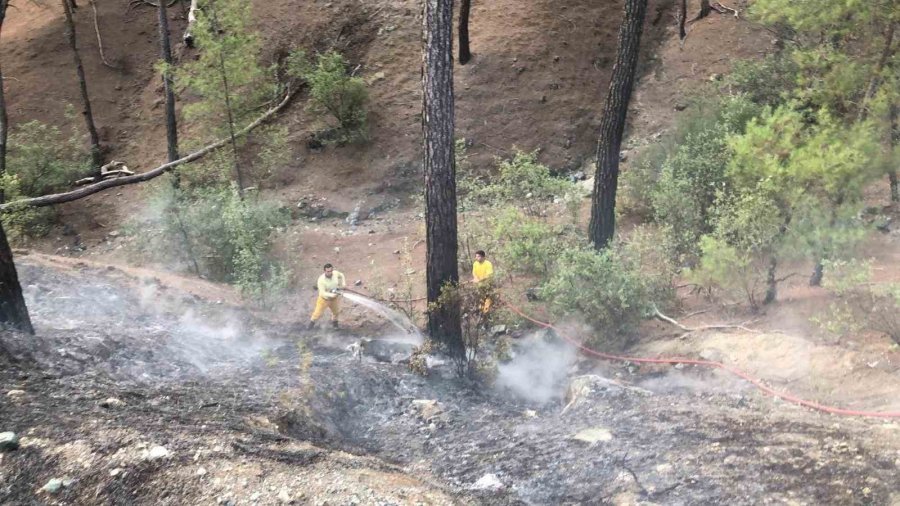 Antalya’da Orman Yangını Büyümeden Söndürüldü