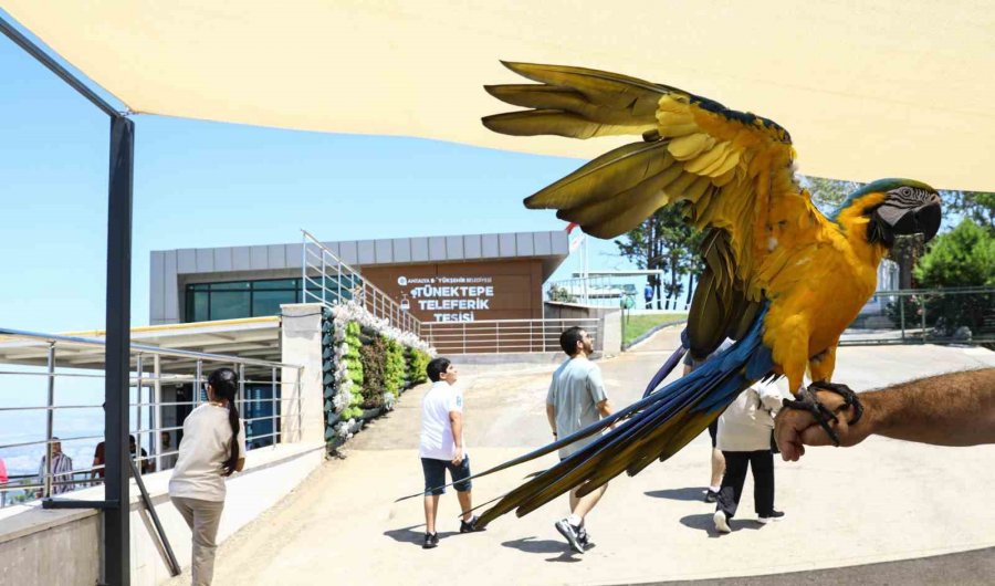 Tünektepe Teleferik Yerli Ve Yabancıların Gözdesi