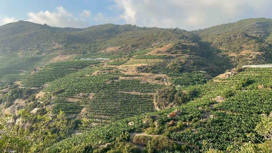 Çiftçilerin İmece Usulü Sulama Projesi Hayata Geçti, Herkese Eşit Su Gidiyor