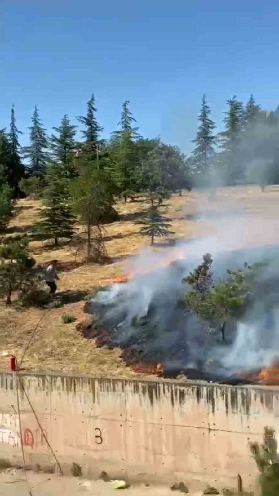 Çamlık Arazide Çıkan Yangına İlk Müdahaleyi Vatandaş Hortumla Yaptı