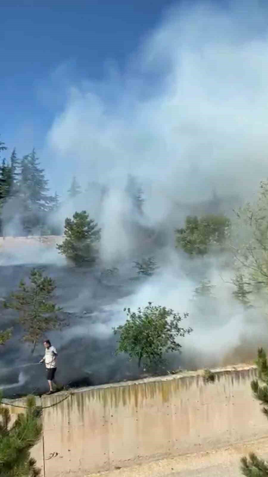 Çamlık Arazide Çıkan Yangına İlk Müdahaleyi Vatandaş Hortumla Yaptı