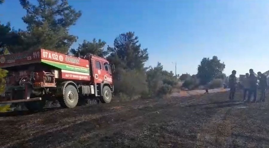 Ormanlık Alanda Başlayan Yangın Tarım Arazisine Sıçradı