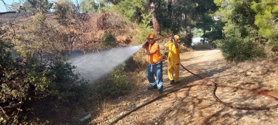 Ormanlık Alanda Başlayan Yangın Tarım Arazisine Sıçradı