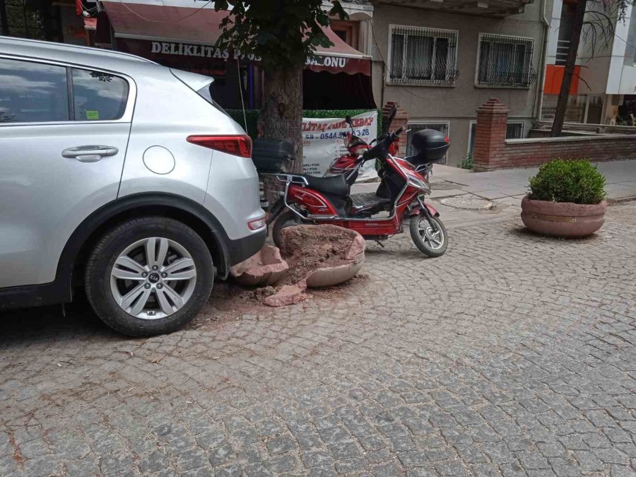 Eskişehir’de Şanssız Beton Saksı Yine Hedef Oldu