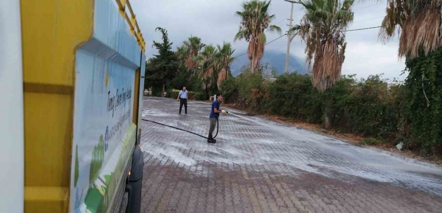 Büyükşehir Ekipleri Karavan Park Tahliyesini Tamamladı