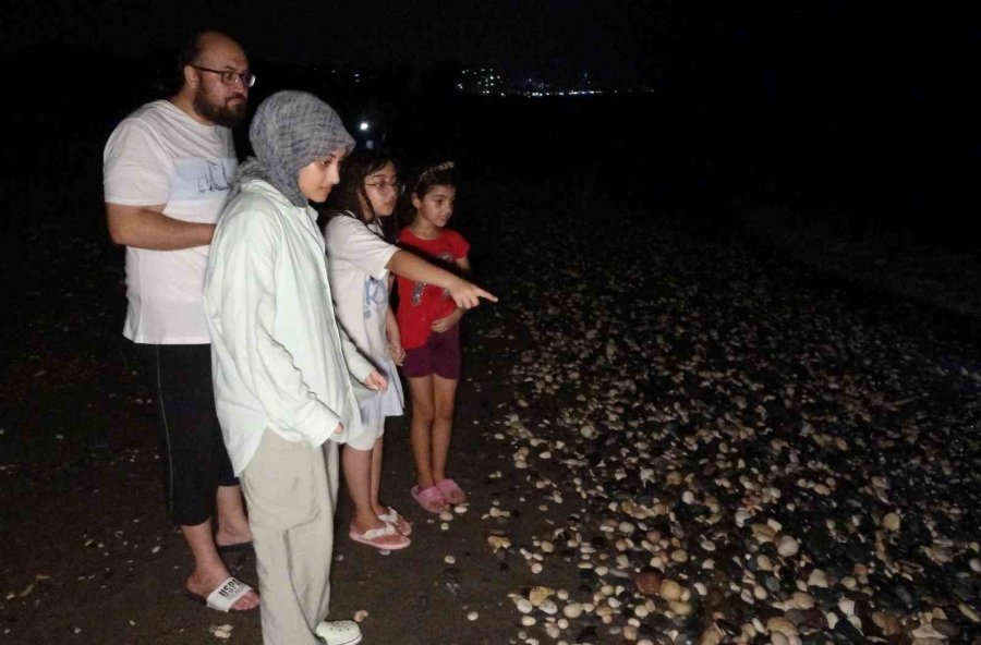 200 Bin Yavru Buradan Çıkıyor: Deniz Kaplumbağaları Akdeniz’le Buluşuyor