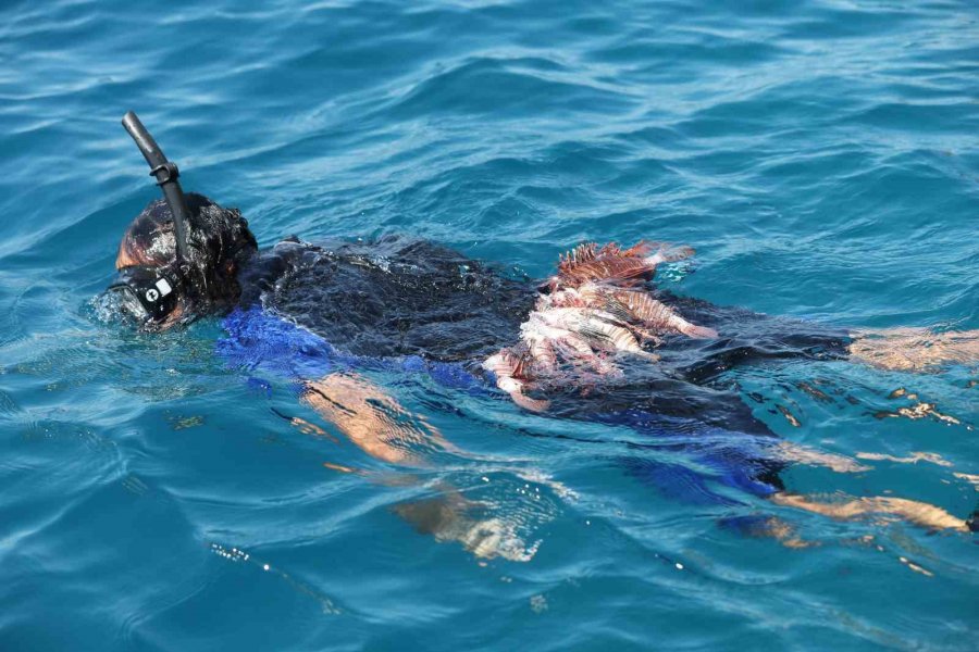 Antalya’da Aslan Balığı Avlama Yarışması Düzenlendi