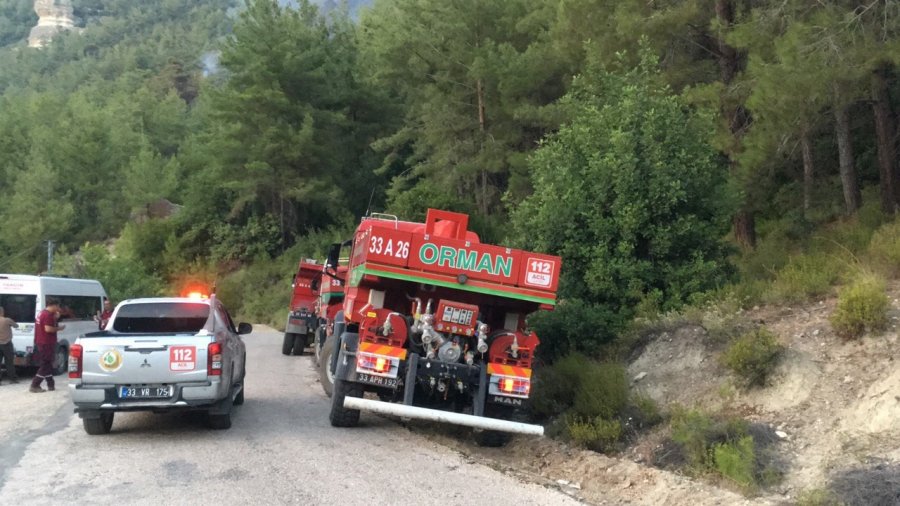 Mersin’de Dünyaca Ünlü Vadide Çıkan Orman Yangını Söndürüldü